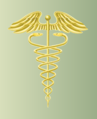 Fernanda Labonia Psicanalista